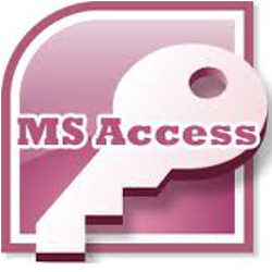 Microsoft Access database programmer Seattle, WA